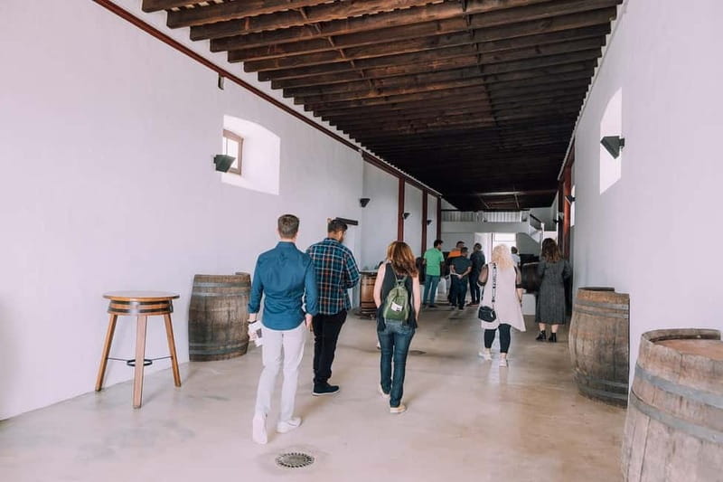 Lanzarote: Sunset vineyard tour with wine and chocolate tasting - Language, group size, and the pace of the visit