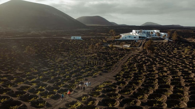 Lanzarote: Sunset vineyard tour with wine and chocolate tasting - Arriving at Finca Testeina
