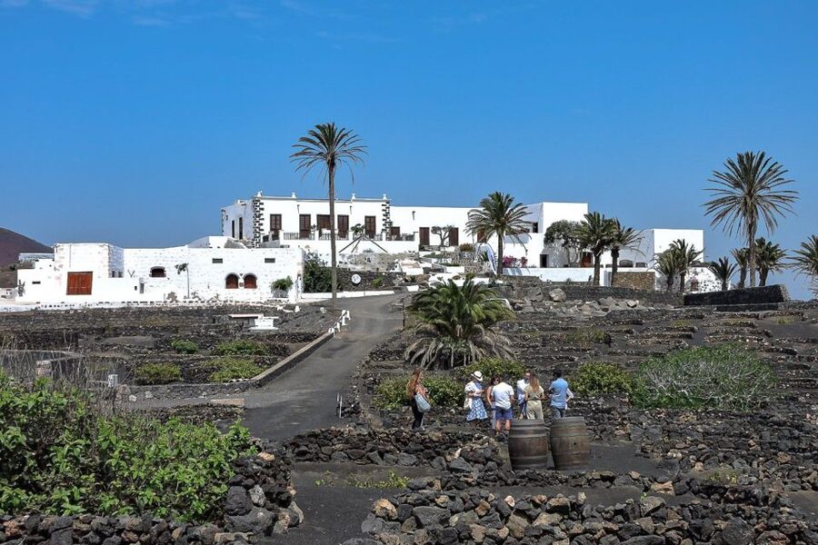 Lanzarote: Vineyard Tour with Wine and Chocolate Tasting - Why Lanzarote’s vineyards look so unusual