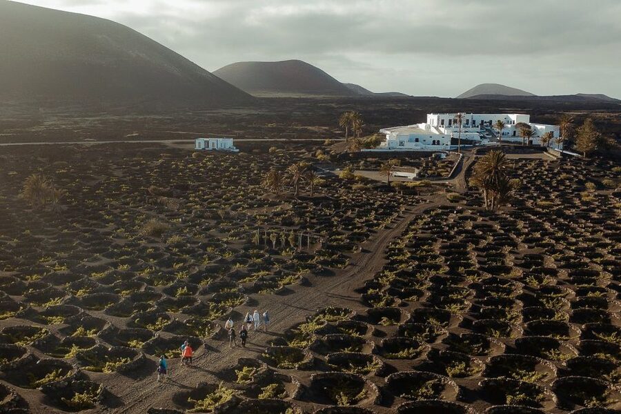 Lanzarote: Vineyard Tour with Wine and Chocolate Tasting - The old estate and Lanzarote’s water culture