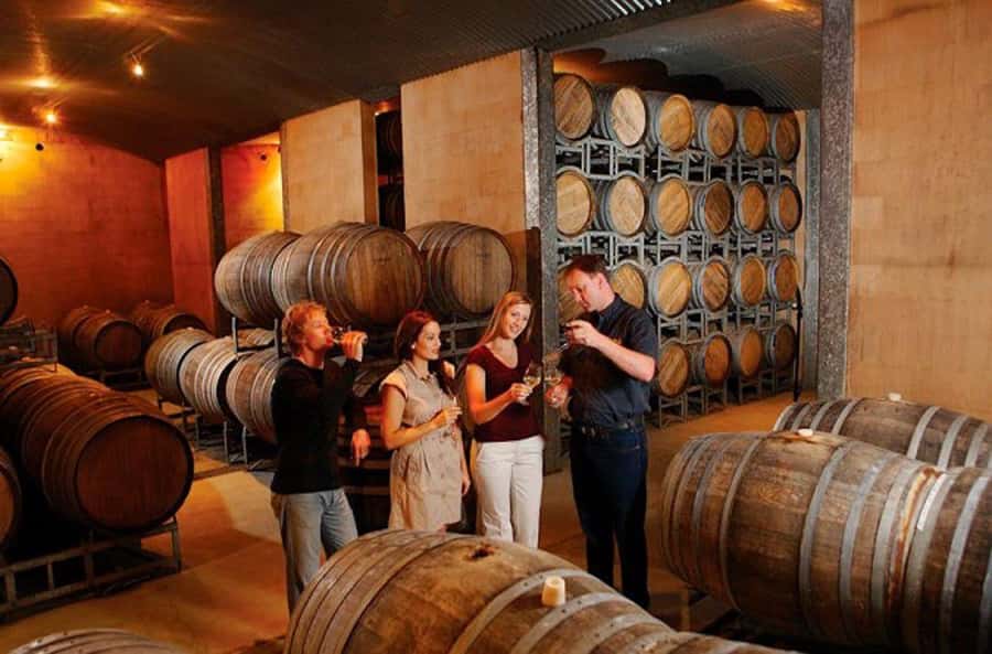 Launceston: Tamar Valley Wine Tour with Lunch - What the first winery stops add to the day