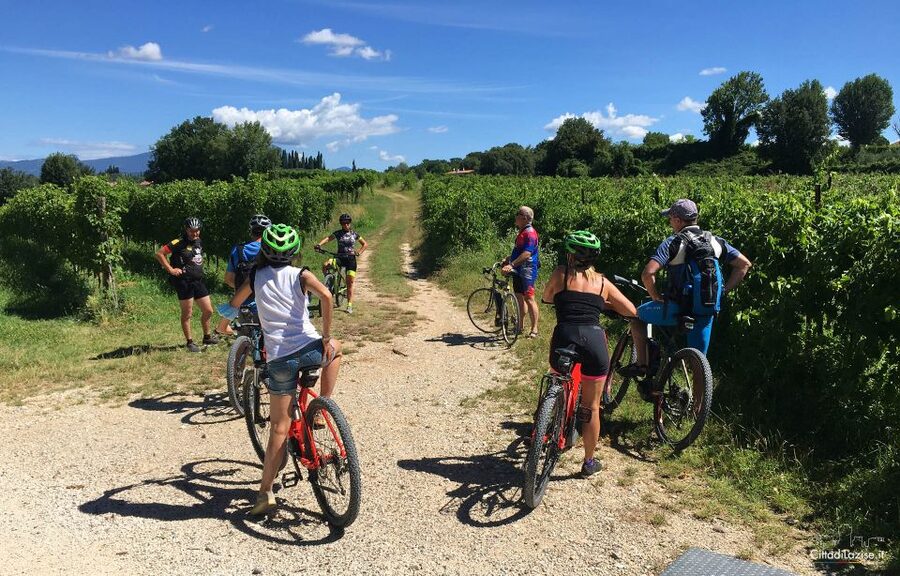 Lazise: Bike Tour and Wine Tasting - Why this Lazise ride is a good break from the lakefront