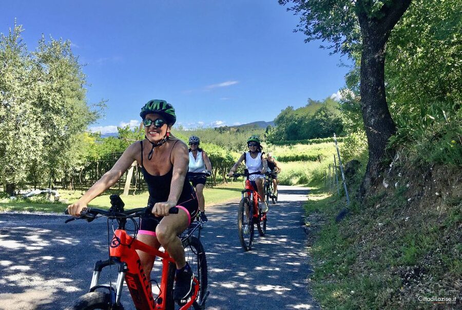 Lazise: Bike Tour and Wine Tasting - Riding through vineyards and olive groves