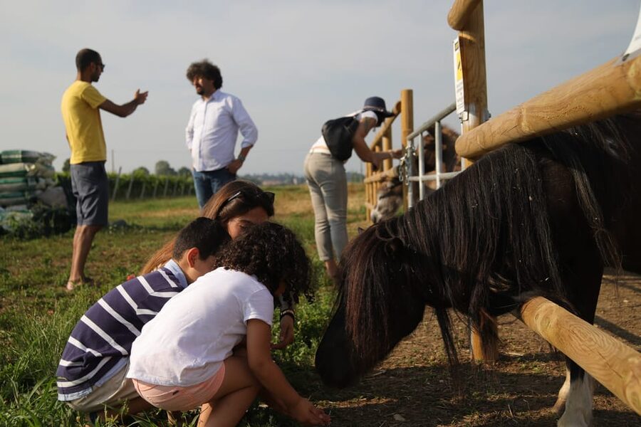 Lazise: Biodynamic Farm Tour and Natural Wine Tasting - Should you book the biodynamic farm tour?