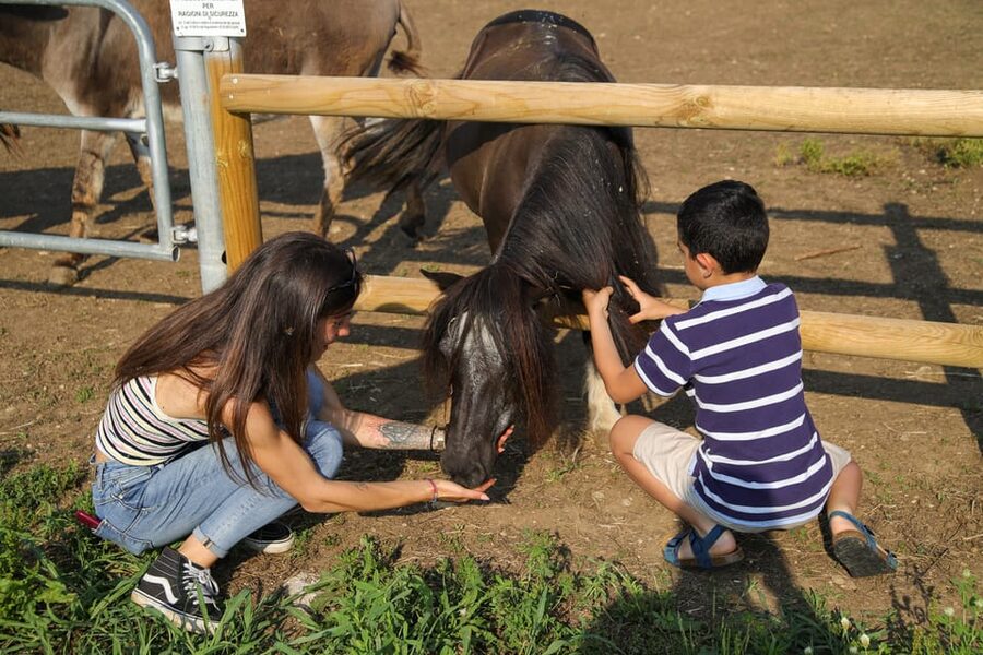 Lazise: Biodynamic Farm Tour and Natural Wine Tasting - Why this farm visit feels different from a standard wine tasting