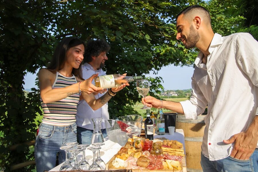 Lazise: Biodynamic Farm Tour and Natural Wine Tasting - Walking the vineyards, gardens, and animal areas