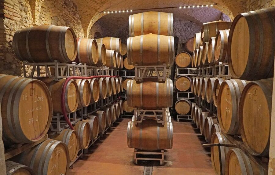 Lazise: Historical Center Wine Tasting Tour - Who will enjoy this Lazise tasting?
