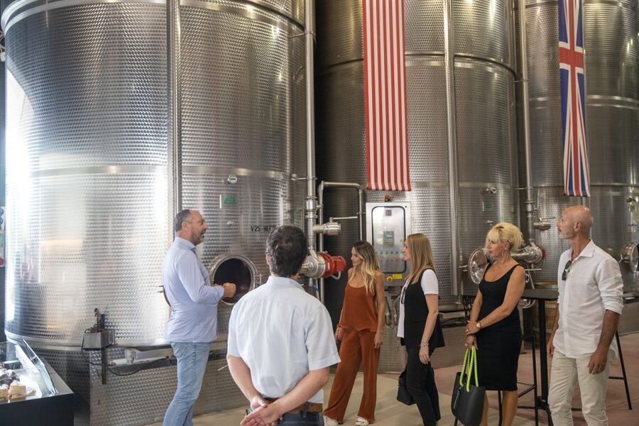 Lazise: Vineyard Tour and Organic Wine Tasting - A vineyard stop in the hills above Lake Garda