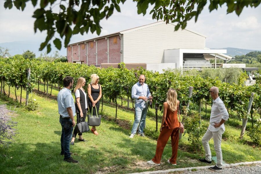 Lazise: Vineyard Tour and Organic Wine Tasting - Getting there and avoiding small booking problems