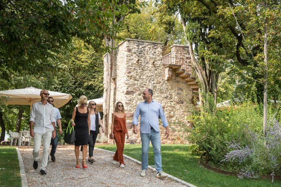 Lazise: Vineyard Tour and Organic Wine Tasting - What the organic approach adds