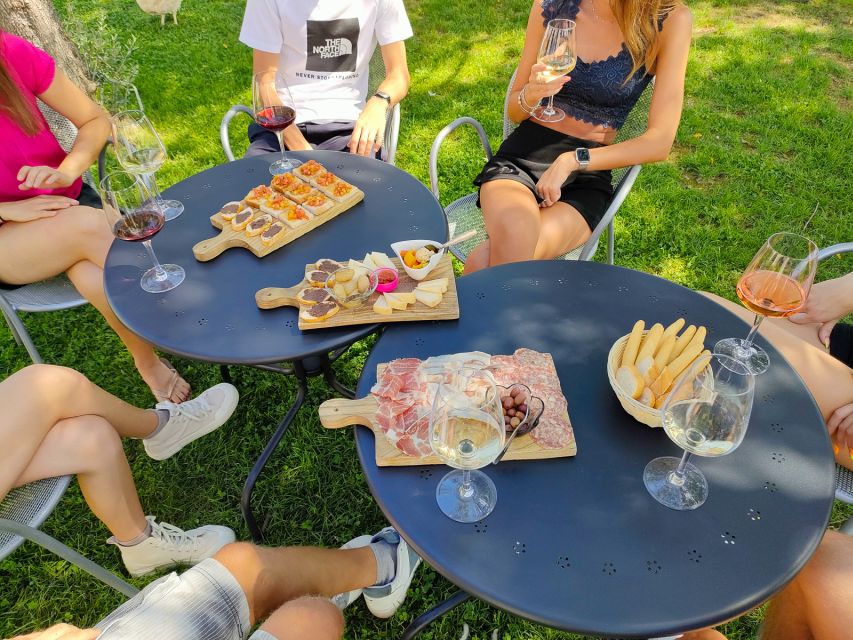 Lazise: Wine Tasting with Charcuterie and Cheese Board - Who will enjoy this experience most