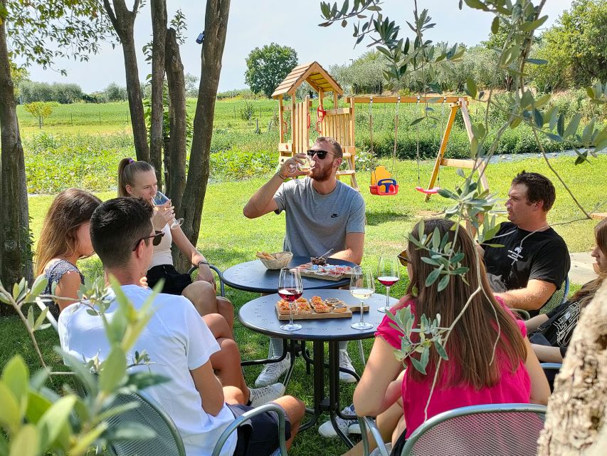 Lazise: Wine Tasting with Charcuterie and Cheese Board - Meeting Susy and hearing the farm’s story