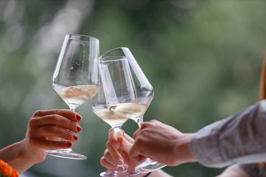 Lazise: Winery Tour with Garda Wines and Food Tasting - Why Bergamini Vini makes a good Garda side trip