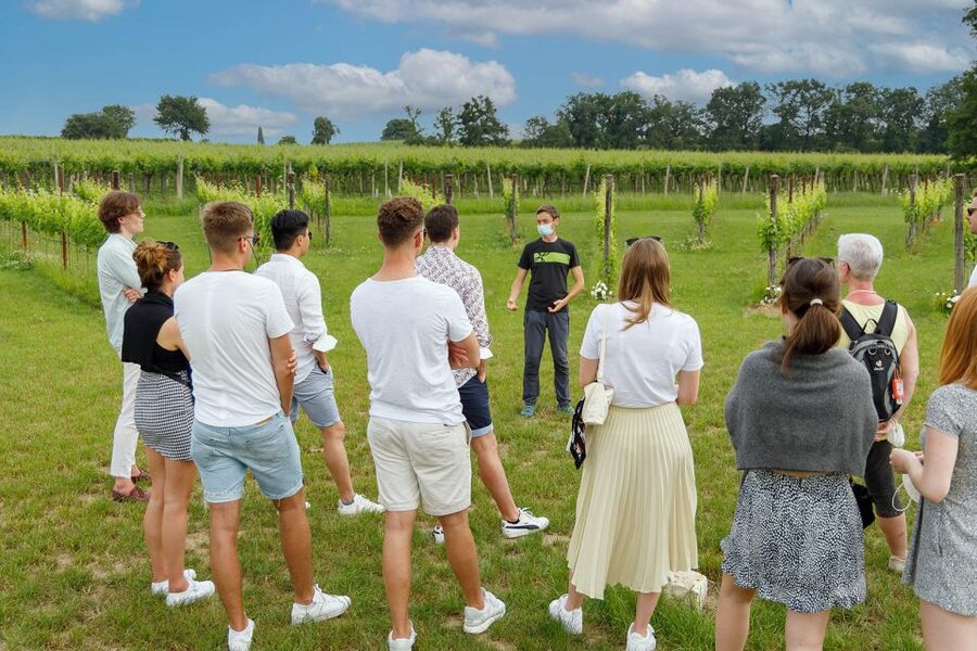 Lazise: Winery Tour with Garda Wines and Food Tasting - Practical details before you go