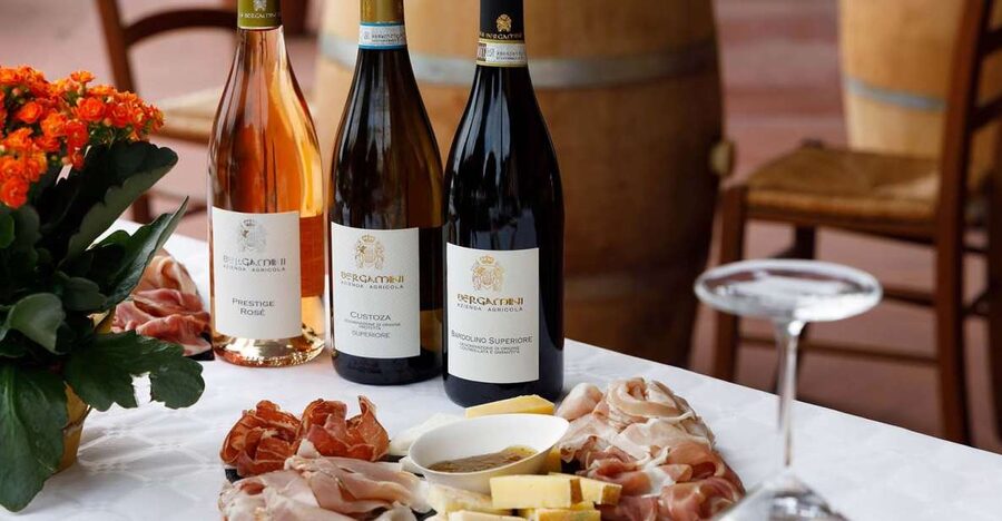 Lazise: Winery Tour with Garda Wines and Food Tasting - Starting among the vines near Lazise
