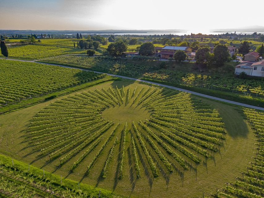 Lazise: Winery Tour with Garda Wines and Food Tasting - What the $49 price really buys you