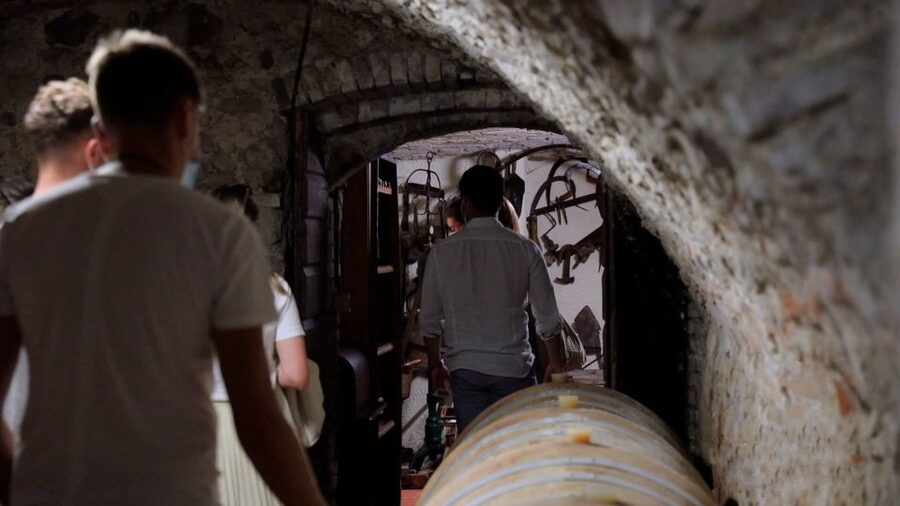 Lazise: Winery Tour with Garda Wines and Food Tasting - Who should book this winery visit?