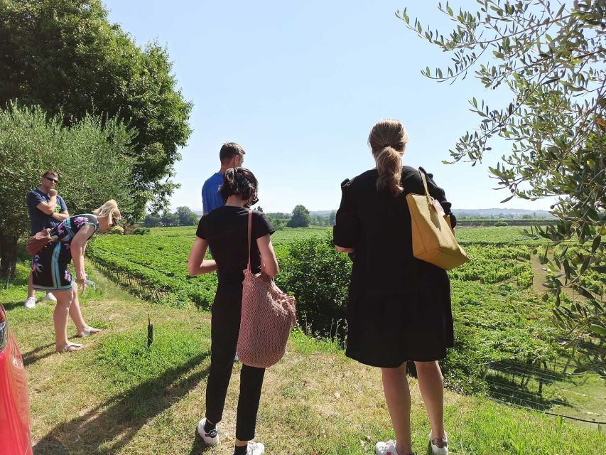 Lazise: Winery Tour with Garda Wines and Food Tasting - From grape to bottle inside the cellar