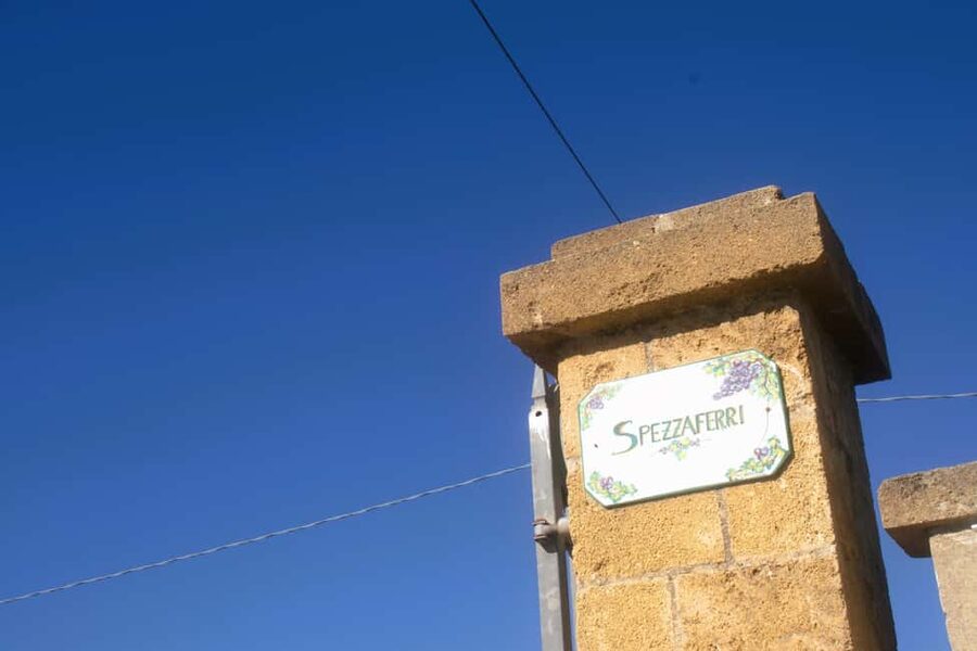 Lecce: Countryside Vineyard Walk & Wine Tasting - Key things to know before you go