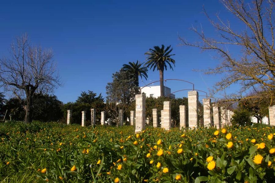 Lecce: Countryside Vineyard Walk & Wine Tasting - A country house where wine is still tied to daily life