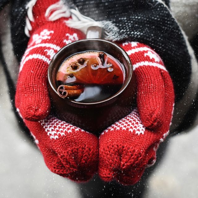 Leipzig: Mulled Wine Motorboat Tour - Mulled wine, tea, cookies, and winter comfort