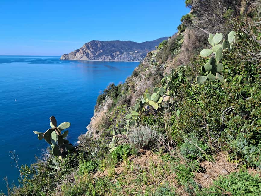 Lemon tour with Limoncino and Wine tasting in Vernazza (Cinque Terre) - Starting beneath Vernazza station