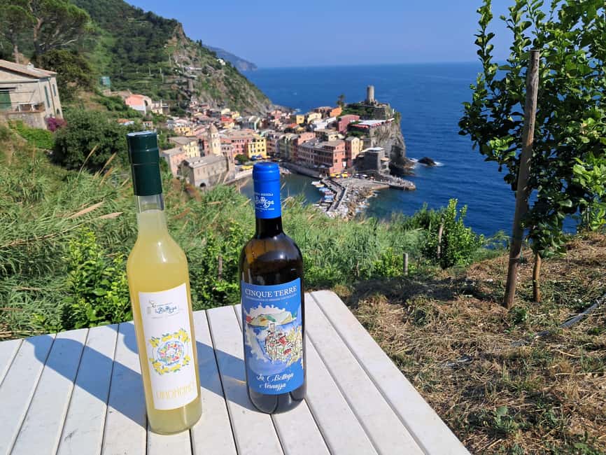 Lemon tour with Limoncino and Wine tasting in Vernazza (Cinque Terre) - Alessandro’s guiding style