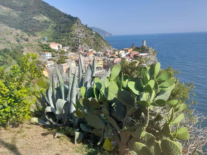 Lemon tour with Limoncino and Wine tasting in Vernazza (Cinque Terre) - Should you book the lemon and wine tour?
