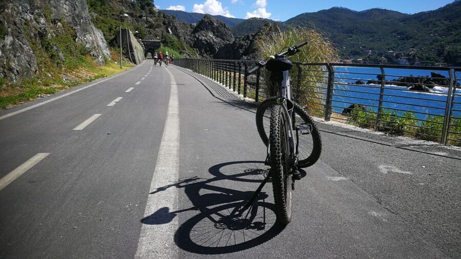 Levanto: Guided E-Bike Tour in Framura with Wine & Focaccia - Who will enjoy this tour most