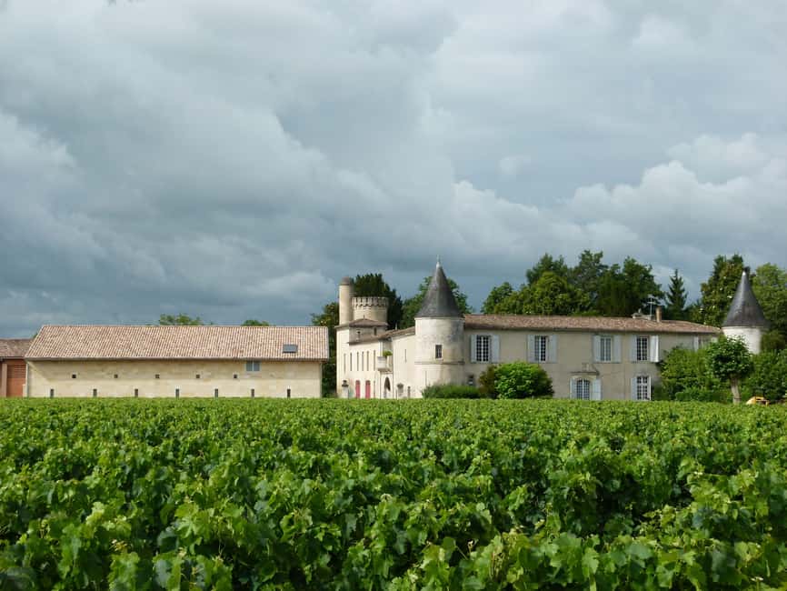 Libourne: Winery Tour with Wine and Chocolate Tasting - What happens in the vineyard