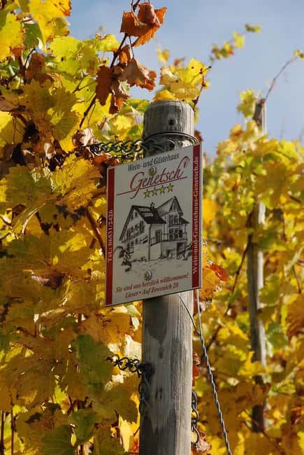 Lieser: Covered wagon ride, the rolling wine tasting with picnic basket - The picnic at the high viewpoint