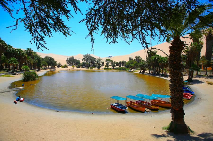 Lima: Huacachina, Winery, & Nazca Lines from Pisco Airport - Should you book the Nazca Lines and Huacachina tour?