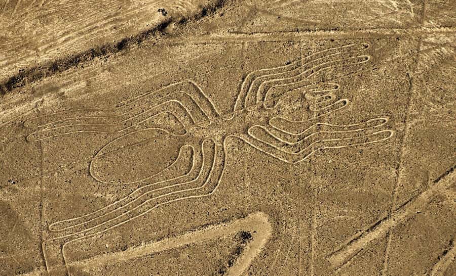 Lima: Huacachina, Winery, & Nazca Lines from Pisco Airport - Why this Lima to Ica day trip is worth considering