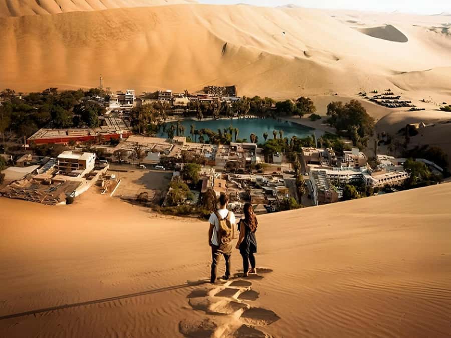 Lima: Paracas & Huacachina Oasis Day Trip with Wine & Dunes - Key things to know before booking
