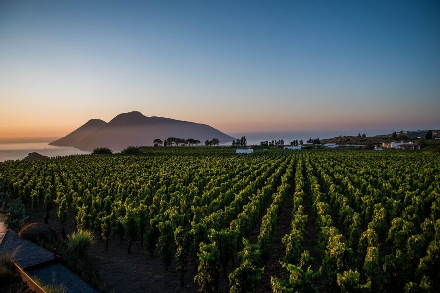 LIPARI WINERY - SUNSET WINE TASTING - Four wines and a proper Sicilian spread