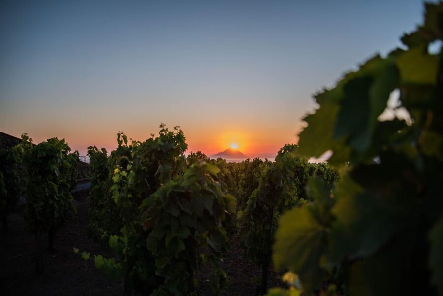 LIPARI WINERY - SUNSET WINE TASTING - Who will enjoy this evening most