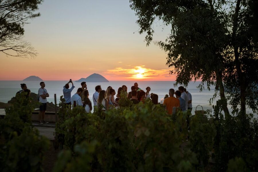 LIPARI WINERY - SUNSET WINE TASTING - Walking among alberello-trained vines