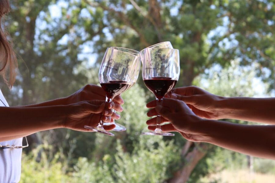 Lisbon: Arrábida and Sesimbra Day Trip with Wine - Key points to know