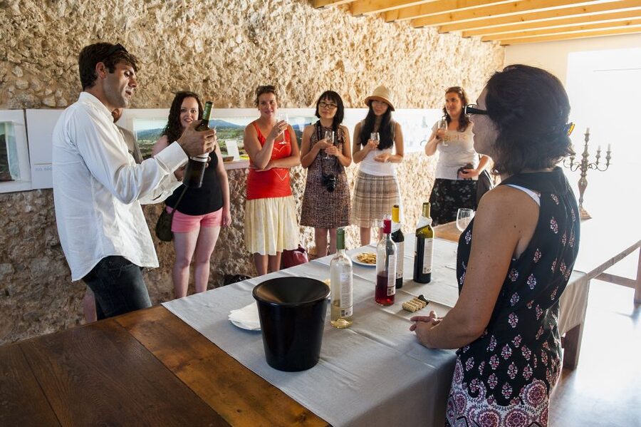 Lisbon: Arrábida and Sesimbra Day Trip with Wine - Transport, timing, and group feel