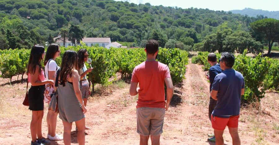 Lisbon: Arrábida and Sesimbra Day Trip with Wine - Why this south-of-Lisbon day trip works