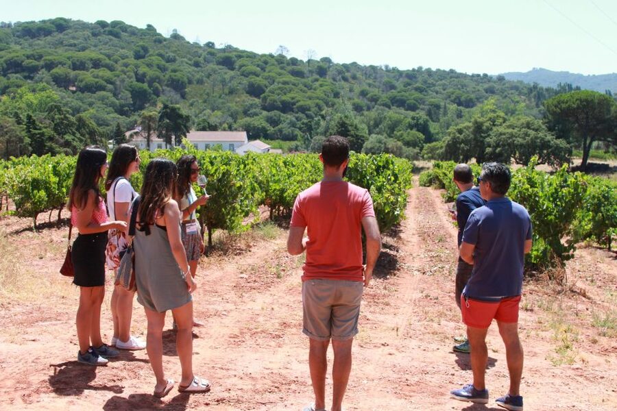 Lisbon: Arrábida and Sesimbra Day Trip with Wine - Palmela and the castle view