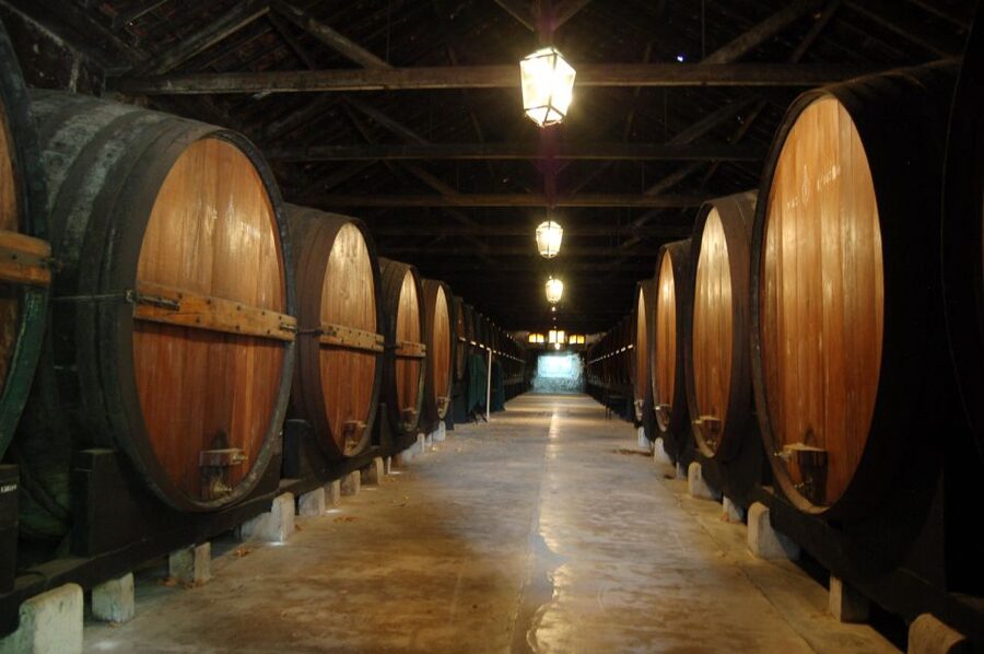 Lisbon Getaway: Private Arrábida Wine & Food Tour - Price, comfort, and who gets the best value