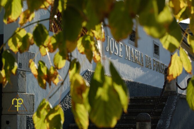 Lisbon Getaway: Private Arrábida Wine & Food Tour - Why this private day trip works so well