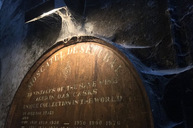 Lisbon Getaway: Private Arrábida Wine & Food Tour - Arrábida’s mountain roads and sea viewpoints