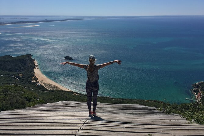 Lisbon Getaway: Private Arrábida Wine & Food Tour - Lunch near the coast or among the vineyards