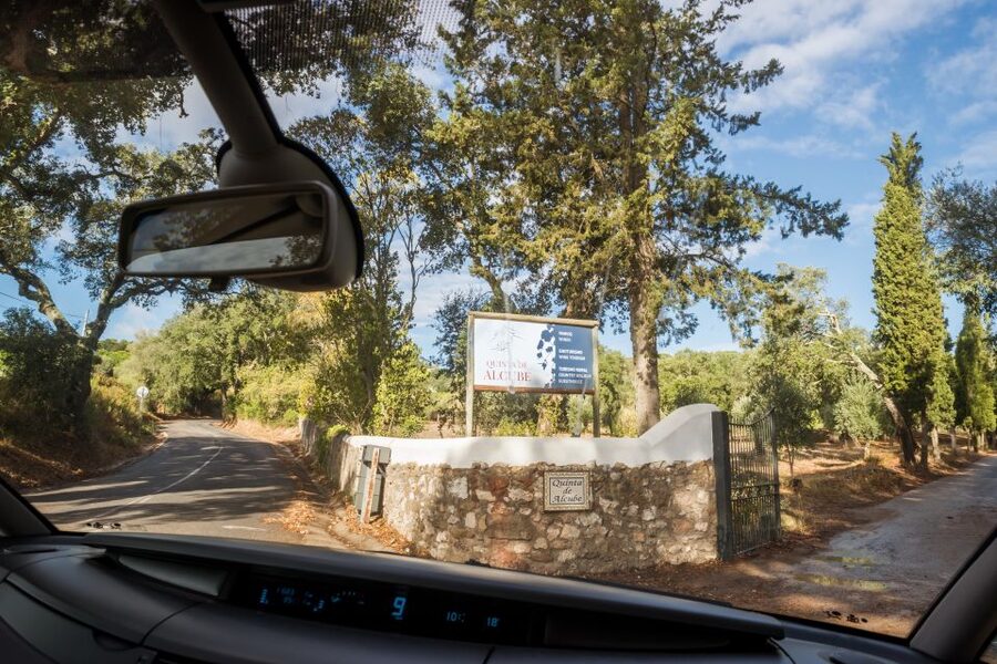 Lisbon Private Setúbal Region Wine Tasting Tour - The Setúbal Regional Mother House