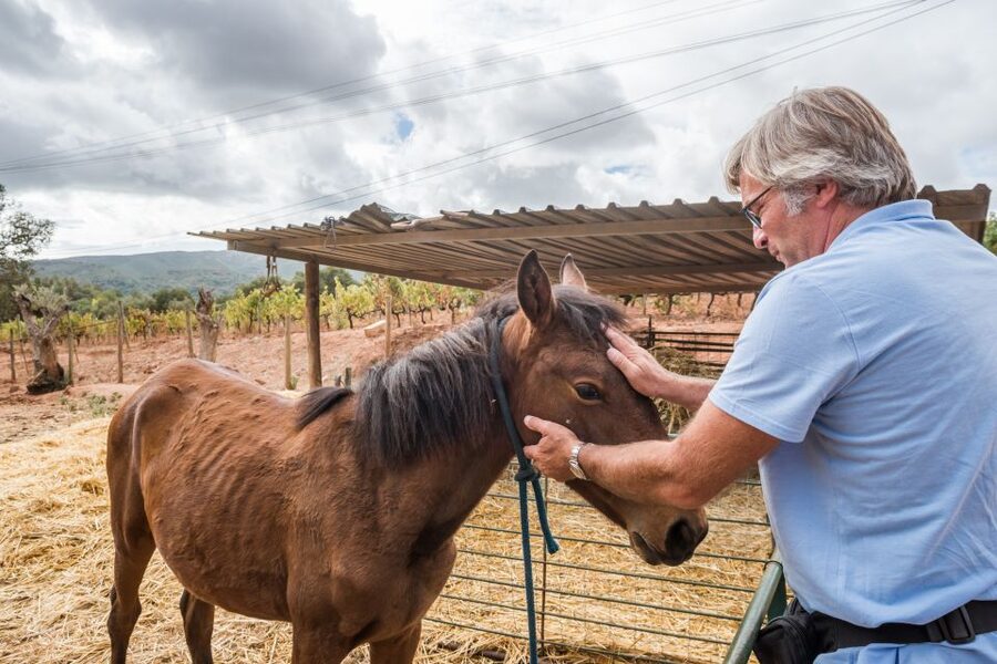 Lisbon Private Setúbal Region Wine Tasting Tour - Arrábida Mountain Views and a Change of Pace