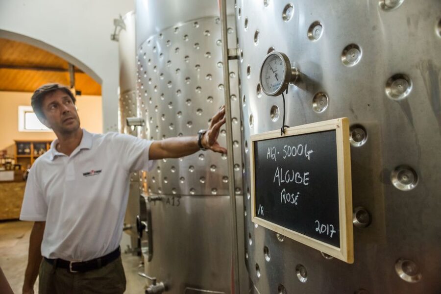 Lisbon Private Setúbal Region Wine Tasting Tour - What the Guides Add to the Day