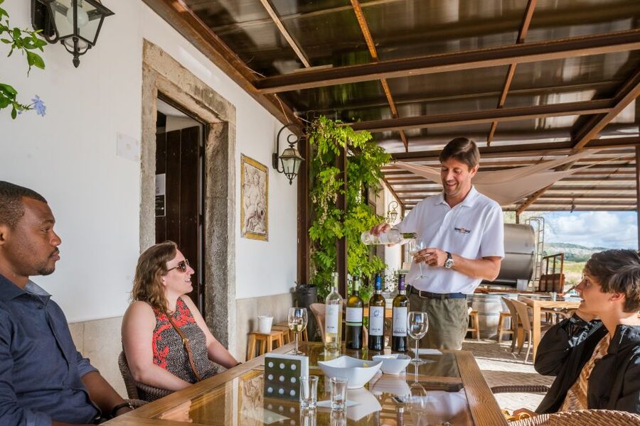 Lisbon Private Setúbal Region Wine Tasting Tour - Quinta do Alcube and the Agricultural Side