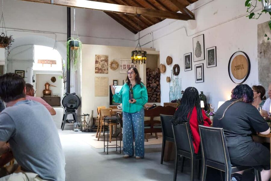Lisbon: Sintra, Pena Palace & Wine Tasting Small-Group Tour - Guides make the difference